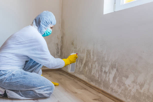 Licensed Crawl Space Mold Removal service in Potomac, MD - WQB Mold Removal