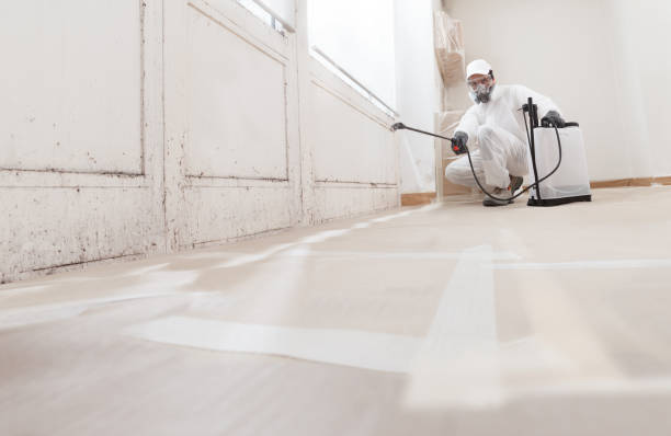 Trusted Crawl Space Mold Removal service in Potomac, MD - WQB Mold Removal