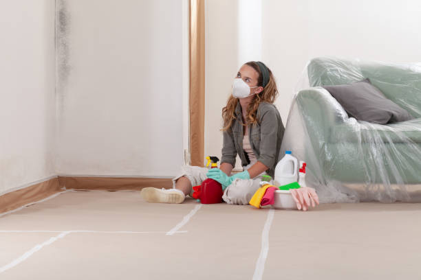 Reliable Crawl Space Mold Removal contractor in Potomac, MD by WQB Mold Removal