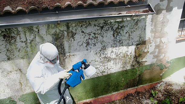 Top rated local Crawl Space Mold Removal specialists in Potomac, MD